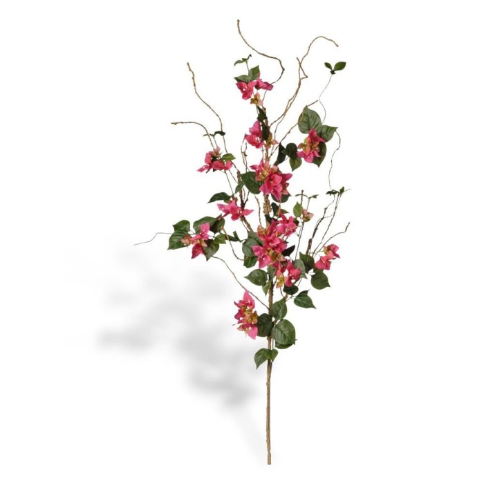 RAMO BOUGANVILLEA CM160 CON RAMETTI